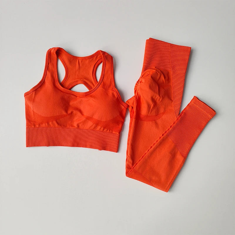 Two Set Sports Bra Set